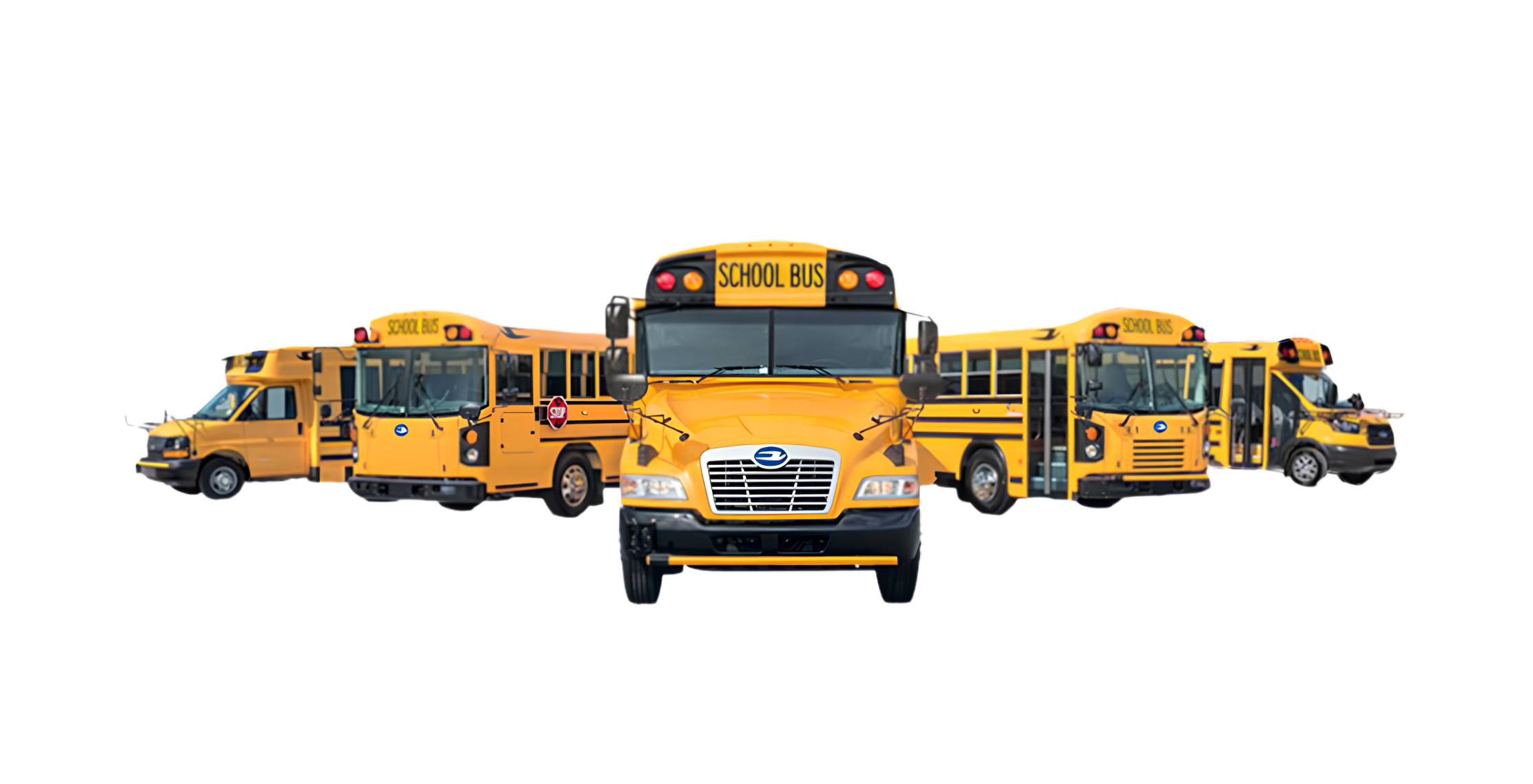Buses of all designs